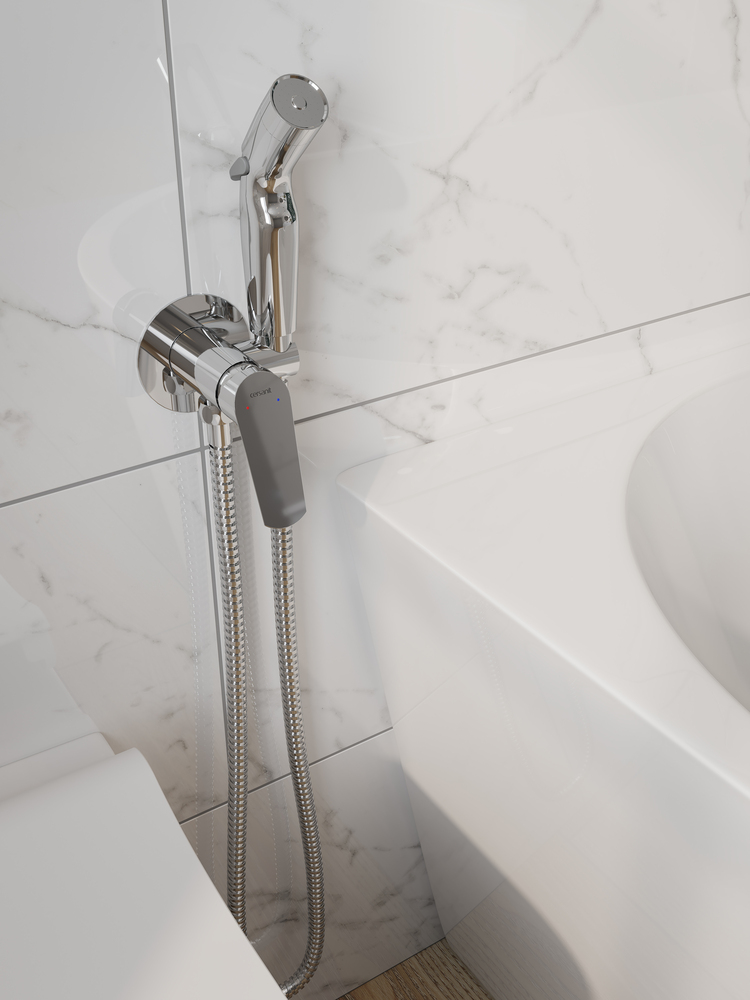 Смеситель с гигиеническим душем FLAVIS Смеситель с гигиеническим душем FLAVIS