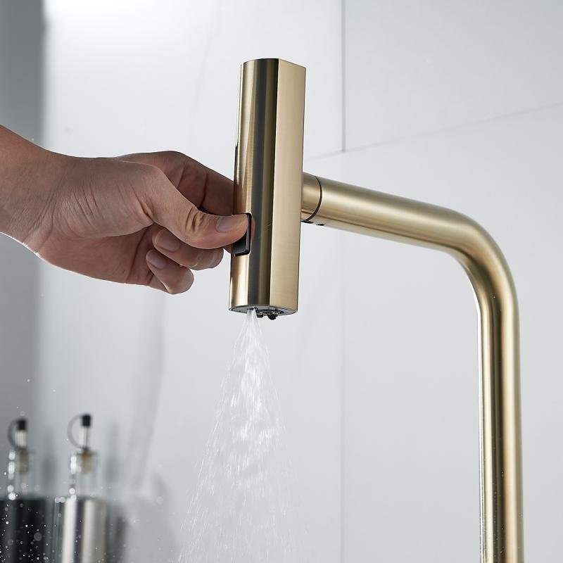 Смеситель для кухни с выдвижной лейкой Shevanik S263 S263G Смеситель для кухни с выдвижной лейкой Shevanik S263 S263G