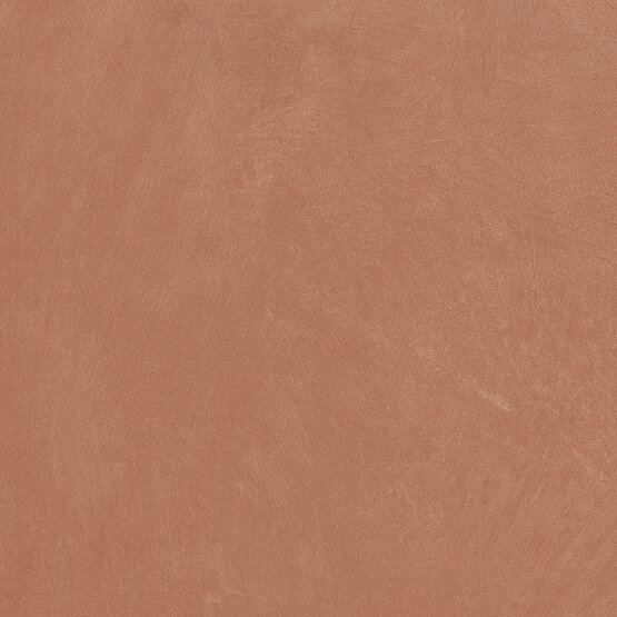 Керамогранит Argillae Coral Rect 60х60 Керамогранит Argillae Coral Rect 60х60