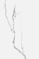 Мираколи белый глянцевый 20x30x0,69