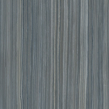 Serpeggiante Керамогранит Серый K947859LPR01VTE0 60х60