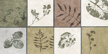 GT234VG Настенная плита Delia_GT _ 30x60 мультиколор_ 1\58,32