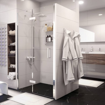 Aller 10H05LWHITE Душевая дверь Wasserkraft