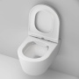 C8F1700MWSC Func подвесной унитаз 49 см FlashClean с сиденьем микролифт, бел мат