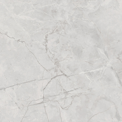 Connect Gris Керамогранит серый SG619922R 60х60 полированный