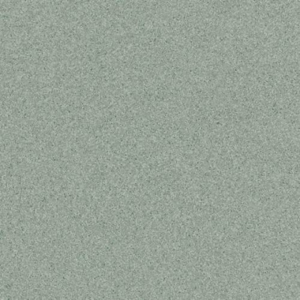 Линолеум Tarkett Primo Plus 311 Линолеум Tarkett Primo Plus 311