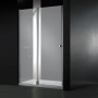 ELENA-W-B-12-100-P-Cr-L Душевая дверь