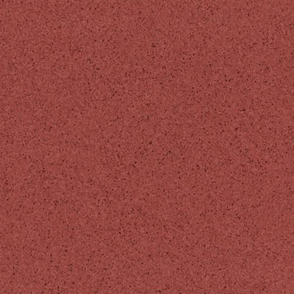 Линолеум Tarkett Primo Plus 306 Линолеум Tarkett Primo Plus 306