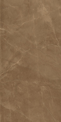 GT120606404PR Керамогранит Athena_GT Кор. 60x120 полир._ 1\43,2 GT120606404PR Керамогранит Athena_GT Кор. 60x120 полир._ 1\43,2