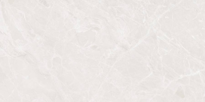 Mramor Princess White Керамогранит светло-серый 60х120 Полированный Mramor Princess White Керамогранит светло-серый 60х120 Полированный