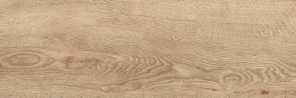 Керамогранит G-250/SR/200x600x8 GRASARO 20х60