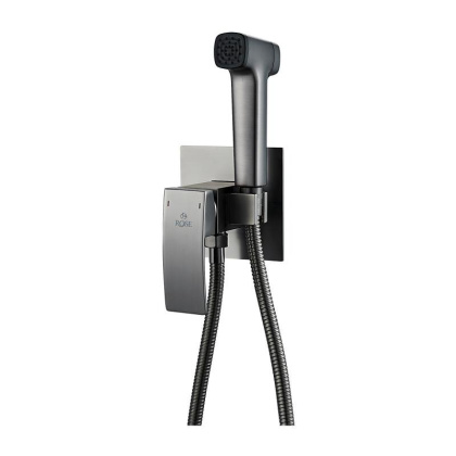 Гигиенический душ со смесителем Rose R1505T-2, оружейная сталь