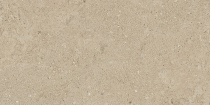 Керамогранит NP02 30,6x60,9x8 Непол.