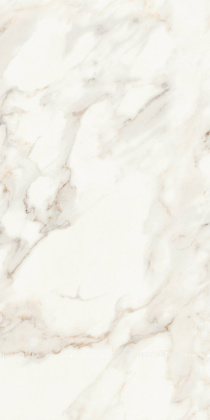 Керамогранит Calacatta Polished 60х120