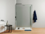 Душевой уголок Allen Brau Fantasy 120x90 3.11003-00 хром Душевой уголок Allen Brau Fantasy 120x90 3.11003-00 хром
