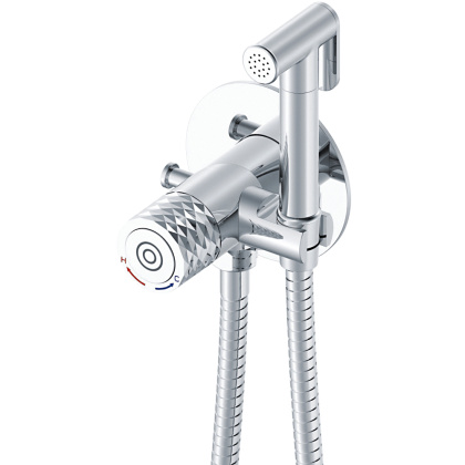 Гигиенический душ со смесителем Rose R225, хром