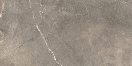 GT122VG Плитка облиц. Siluet GT Кор. 50*25 _ 1 \74,25