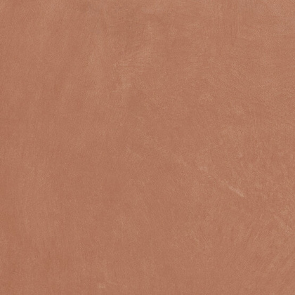 Керамогранит Argillae Coral Rect 60х60