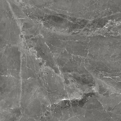 GT606012109SPR Керамогранит Tulip_GT Темно-сер. 60x60 _ 1\54,72