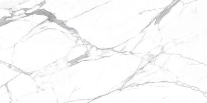 Carrara Terrific Silver Керамогранит белый 60х120 Матовый Carrara Terrific Silver Керамогранит белый 60х120 Матовый
