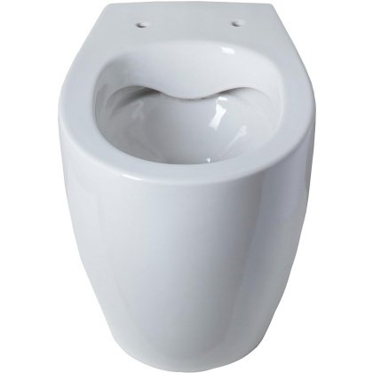 Приставной унитаз Allen Brau Fantasy 4.11007.20