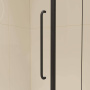 Душевой уголок 120* 90*185 RGW CL-046-B Прямоуг./Чёрный/Прозрачное/6 мм Душевой уголок 120* 90*185 RGW CL-046-B Прямоуг./Чёрный/Прозрачное/6 мм