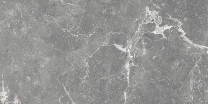 GT99VG Плитка облиц. Capella GT Сер. 50*25 _ 1 \74,25