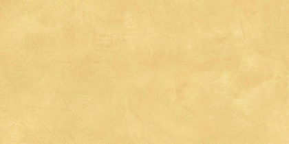 SR04 60x120х10 Непол.Рект. (Керамический гранит) SR04/NS_R10/60x120x10R/GW