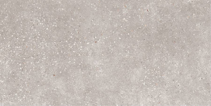 GT183VG Керамогранит Coral Rock_GT Сер. 30x60 _ 1\58,32