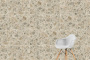 60х120 CityStone Чеппо Мультиколор Матовый R10A 7Рек
