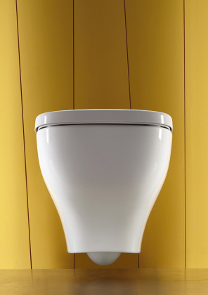 Крышка-сидение Jacob Delafon Struktura плавное опускание, белый Е70024-00, шт