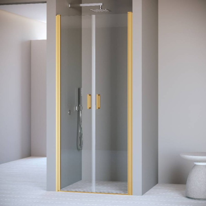 Душевая дверь RGW PA-104Gb, RGW 060810408-16