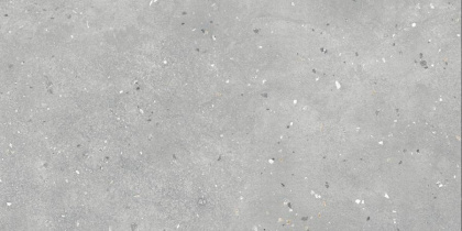 Керамогранит G-42/MR/300x600x9 GRASARO 30х60