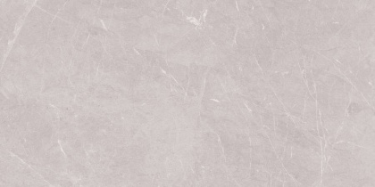 Stone Sovereign Керамогранит серый 60х120 Матовый Stone Sovereign Керамогранит серый 60х120 Матовый