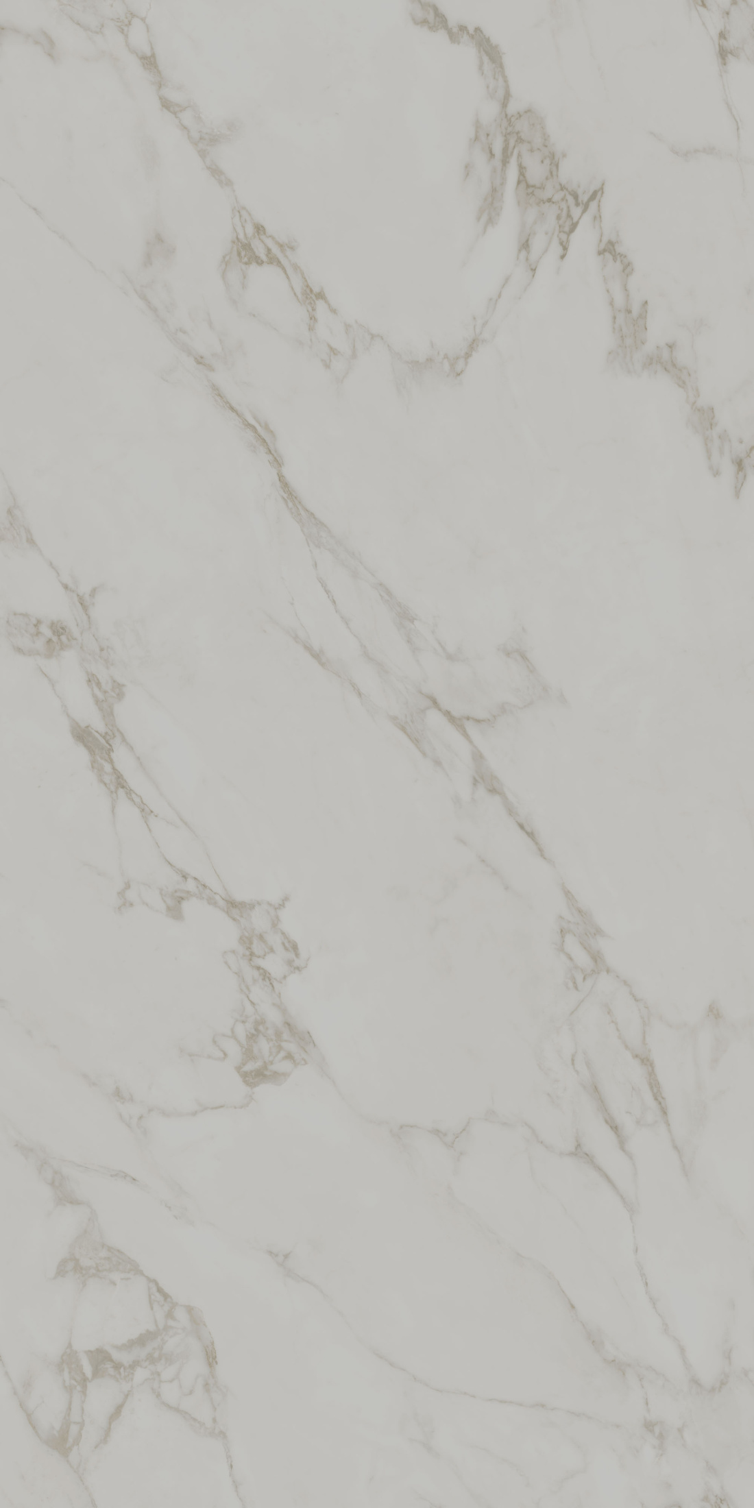 Монте Тиберио серый светлый матовый обрезной 119,5x238,5x1,1