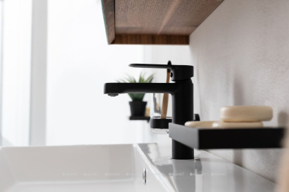 Смеситель для раковины Aquanet Passion AF300-10B Смеситель для раковины Aquanet Passion AF300-10B