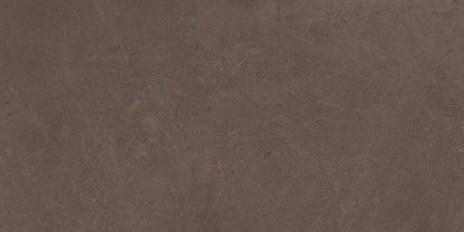 GO03 60x120x10 Непол.Рект. (Керамический гранит)
