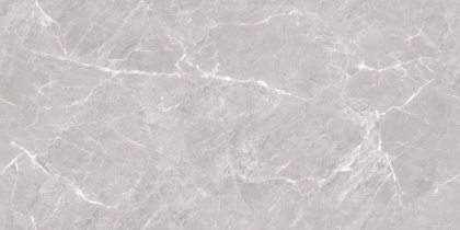 Mramor Chic Silver Керамогранит серый 60х120 Полированный