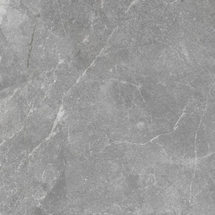 Rocky Grey PRO Керамогранит серый 80х80 матовый R10GR STR