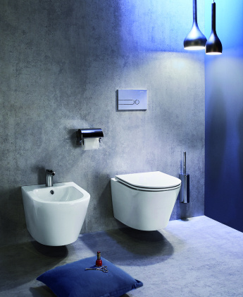 Унитаз EDY102-00 Jacob Delafon  Rodin+ белый подвесной, шт