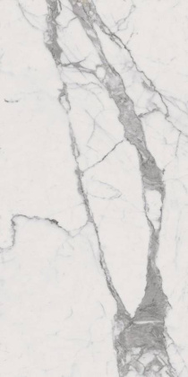 Шар.Эво Статуарио 120X278 Люкс