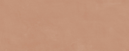 Каннареджо оранжевый матовый 20x50x0,8