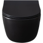 Чаша подвесного унитаза Allen Brau Priority 4.31002.31 черный матовый