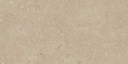 Керамогранит NP02 30,6x60,9x8 Непол.