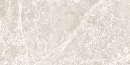 GT209VG Настенная плита Action_GT светло-сер. 30x60 _ 1\58,32