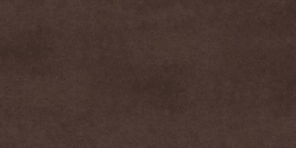 CA03 60x120x10 Непол.Рект. (Керамический гранит)