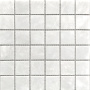 Мозаика натуральный мрамор WHITE POLISHED 48х48, Classic