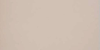 GT028М 600х1200 матовый