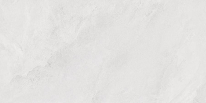 Porter Silver PRO Керамогранит светло-серый LP6012G0171R 59,5х119,1 матовый карвинг R10 STR