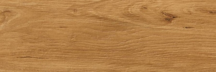 Керамогранит G-82/MR/200x600x8 GRASARO 20х60